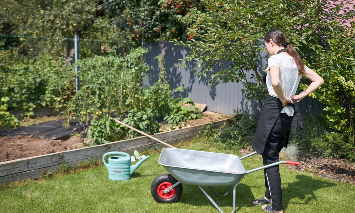 Landscaping and Gardening